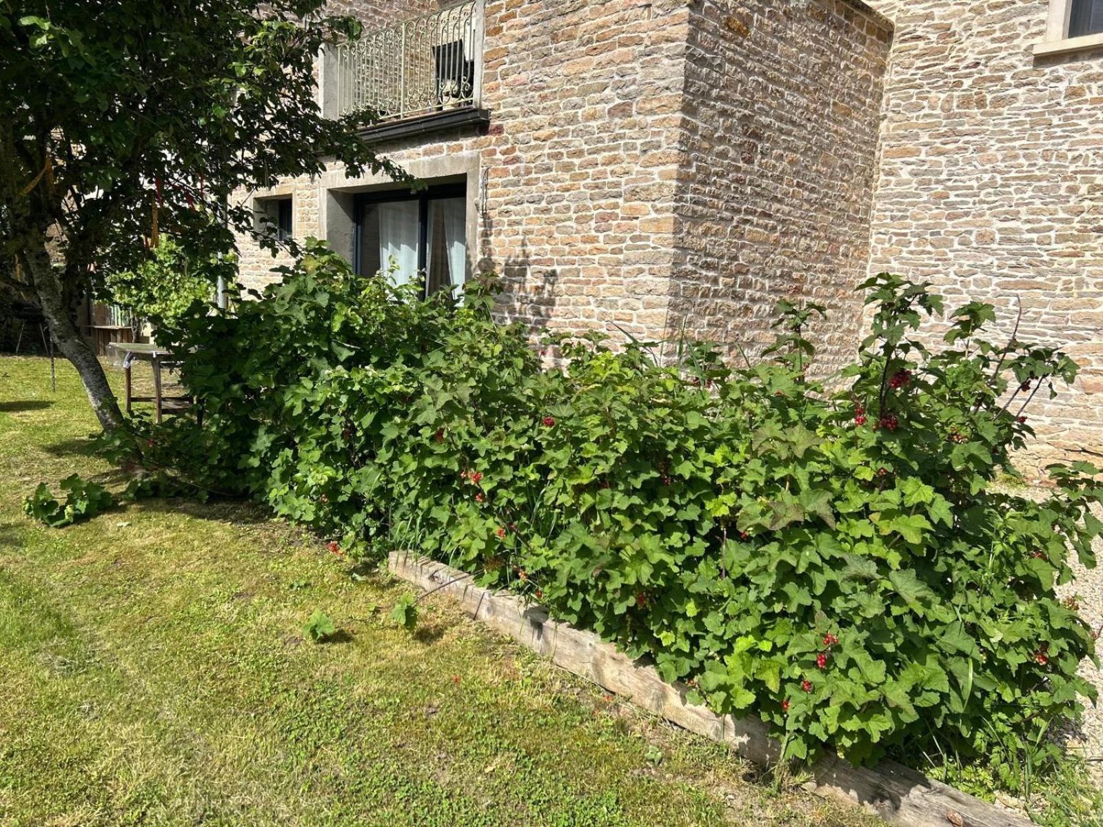 Appartement 3 Etoiles Tout Confort Et Spacieux En Campagne Bourguignonne Mancey Exterior foto